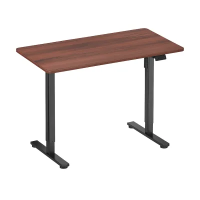 SKILLDESK Bureau Sur mesure à hauteur réglable (1 moteur)