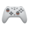 GameSir Nova Lite 2.4G Wireless Controller (Ash Gray)