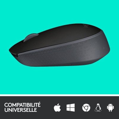 Logitech M171 Wireless Mouse (Noir)