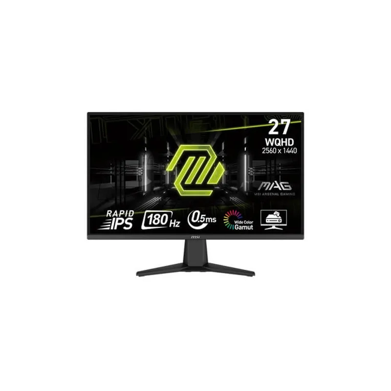Moniteur MSI MAG