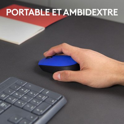 Logitech M171 Wireless Mouse (Blue)