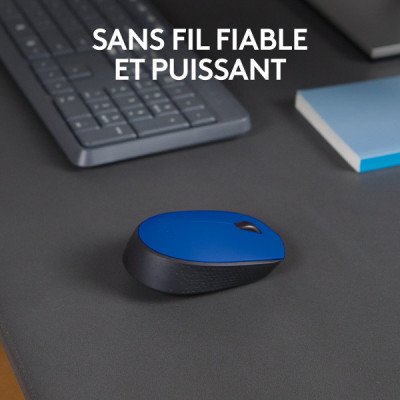 Logitech M171 Wireless Mouse (Blue)